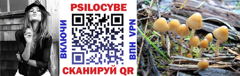 Купить  Очёр  Псилоцибиновые грибы мухоморы 