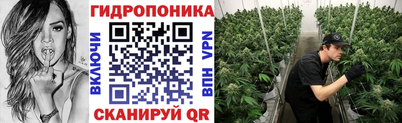 Шишки марихуана OG Kush  Купить закладки  Очёр 